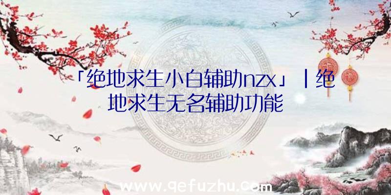 「绝地求生小白辅助nzx」|绝地求生无名辅助功能